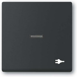 Busch-Jaeger Wippe mit Aufdruck schwarz, Retail