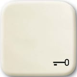 Busch-Jaeger Wippe mit Symbol Schlüssel weiß, Retail