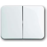 Busch-Jaeger Wippe zweiteilige glänzend Retail