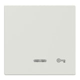 Merten Wippe Kontrollfenster Schalter und Taster Einsatz weiß, Retail