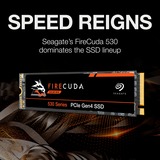 Seagate FireCuda 530 500 GB, SSD PCIe 4.0 x4, NVMe 1.4, M.2 2280