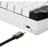 Sharkoon SKILLER SGK50 S4, Gaming-Tastatur weiß/schwarz, ES-Layout, Kailh Red