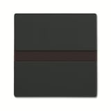 Busch-Jaeger Komfortschalter mit Orientierungslicht, Bewegungsmelder anthrazit, Retail