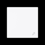 Busch-Jaeger Wippe geschlossen mit Symbol weiß, Retail