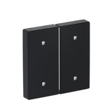 Busch-Jaeger Wippe zwei fach Elektroniktaster schwarz, Retail