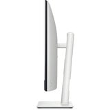 Dell Plus S3225QC, OLED-Monitor 80.3 cm (31.6 Zoll), weiß/schwarz, UltraHD/4K, QD-OLED, FreeSync Premium Pro, 120Hz Panel