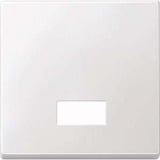 Merten Wippe Symbol Fenster rechteckig Kontrollschalter- und Taster-Einsatz Typ 433819 weiß (matt), Retail