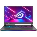 ASUS ROG Strix G17 (2023) (G713PI-LL044), Gaming-Notebook grau, AMD Ryzen 9 7845HX, NVIDIA GeForce RTX 4070, 32 GB DDR5, 1 TB (1 TB SSD), ohne Betriebssystem