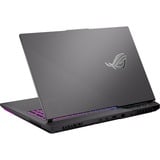 ASUS ROG Strix G17 (2023) (G713PI-LL044), Gaming-Notebook grau, AMD Ryzen 9 7845HX, NVIDIA GeForce RTX 4070, 32 GB DDR5, 1 TB (1 TB SSD), ohne Betriebssystem