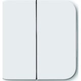 Busch-Jaeger Wippe aws Retail