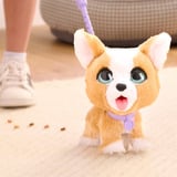 Just Play furReal Poop-A-Lots Corgi, Kuscheltier 