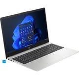 HP 250 G10 (B39NWAT), Notebook silber, Intel® Core™ i5-1334U, Intel® Iris® Xe Graphics, 16 GB DDR4, 512 GB (512 GB SSD), Windows 11 Home 64-Bit