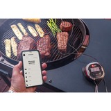 Weber iGrill 2 mit zwei Messfühlern 7221, Thermometer 