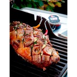 Weber iGrill 2 mit zwei Messfühlern 7221, Thermometer 