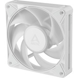 ARCTIC BioniX P12 A-RGB, Gehäuselüfter weiß/weiß, 120 mm