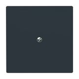 Busch-Jaeger Blindzentralscheibe mit Tragring, Blende anthrazit, Retail