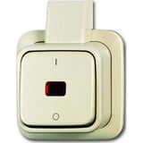 Busch-Jaeger Kontrollausschalter 2polig Aufputz 2601/2 SKAP weiß, Retail