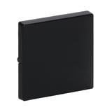 Busch-Jaeger Wippe einteilige Ausführung für Ausschalter, Wechselschalter, Kreuzschalter und Taster Typ 1786-81 anthrazit, Retail