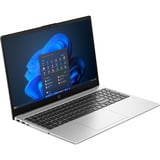 HP 250R G10 (CW7M7ES), Notebook silber, Intel® Core™ 5 120U, Intel® Graphics, 16 GB DDR4, 512 GB (512 GB SSD), Windows 11 Home