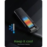 ICY BOX IB-1808MCT-CU31, Laufwerksgehäuse schwarz