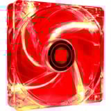 Xilence Performance C LED Series 120x120x25, Gehäuselüfter transparent