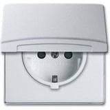 Busch-Jaeger Schutzkontakt-Steckdoseneinsatz 20 EUGKB-33-101 aluminium, Retail