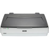 Epson Expression 12000XL, Flachbettscanner grau, USB