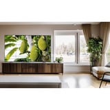 TCL 65T8C, QLED-Fernseher 163.9 cm (65 Zoll), schwarz, UltraHD/4K, Google TV, Triple Tuner, 144Hz Panel