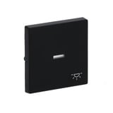 0 Wippe mit Symbol Licht schwarz, Retail