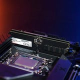 ADATA CUDIMM 16 GB DDR5-6400, Arbeitsspeicher AD5CU640016G-S