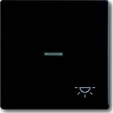 Busch-Jaeger Wippe mit Symbol Licht schwarz, Retail