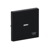 Busch-Jaeger Wippe mit Symbol Licht schwarz, Retail