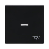 Busch-Jaeger Wippe mit Symbol Licht schwarz, Retail