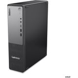 Lenovo ThinkCentre neo 55s Gen 6 (13G0004EGE), PC-System schwarz, Windows 11 Pro