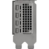 PNY NVIDIA RTX 4000 SFF Ada Generation 20GB SB, Grafikkarte 4x miniDisplayPort, Retail