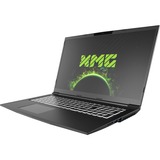 XMG CORE 17 (10505978), Gaming-Notebook grau, Windwos 11 Home 64-Bit, 144 Hz Display, 500 GB SSD