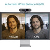 i-tec SOLOMON PRO 900 4K, Webcam schwarz