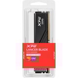 ADATA DIMM 8 GB DDR5-5600 (1x 8 GB), Arbeitsspeicher schwarz, AX5U5600C468G-SLABBK, XPG Lancer Blade, INTEL XMP, AMD EXPO