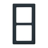 Busch-Jaeger Rahmen zwei-fach Unterputzmontage Allwetter 44 Schutzart IP44 glänzend Kunststoff anthrazit, Retail