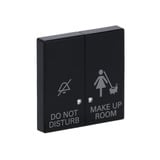 Busch-Jaeger Wippe anthrazit, Retail