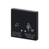 Busch-Jaeger Wippe anthrazit, Retail