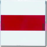 Busch-Jaeger Zentralscheibe davos signalieren 1573 CN-84, Zentralplatte weiß, Retail