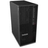 Lenovo ThinkStation P2 Tower Gen 2 (30JQ003XGE), PC-System schwarz, Windows 11 Pro