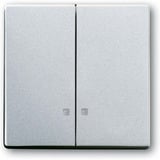 Busch-Jaeger Wippe zweiteilige Ausführung aluminium, Retail