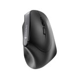 CHERRY MW 4500, Maus schwarz