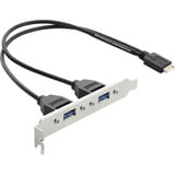 DeLOCK Slotblech USB Typ-E > 2x USB 3.0, Slotblende 