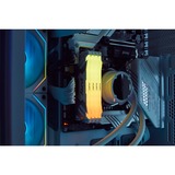 Kingston FURY DIMM 32 GB DDR5-6000 (2x 16 GB) Dual-Kit, Arbeitsspeicher weiß, KF560C32RWAK2-32, Renegade RGB, INTEL XMP