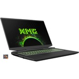 XMG APEX 17 L23 (10506275), Gaming-Notebook schwarz, Windows 11 Home 64-Bit, 144 Hz Display, 1 TB SSD