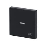 0 Wippe mit Symbol Licht anthrazit, Retail