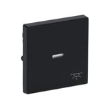 0 Wippe mit Symbol Licht anthrazit, Retail